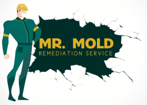 MrMold-Logo